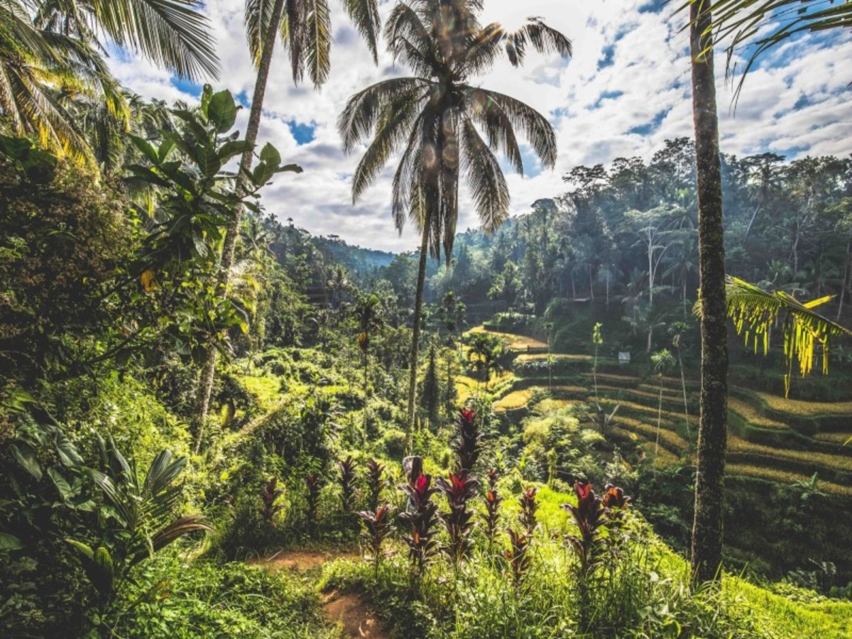 Circuit Trésors de Bali et Merveilles de Komodo - 4