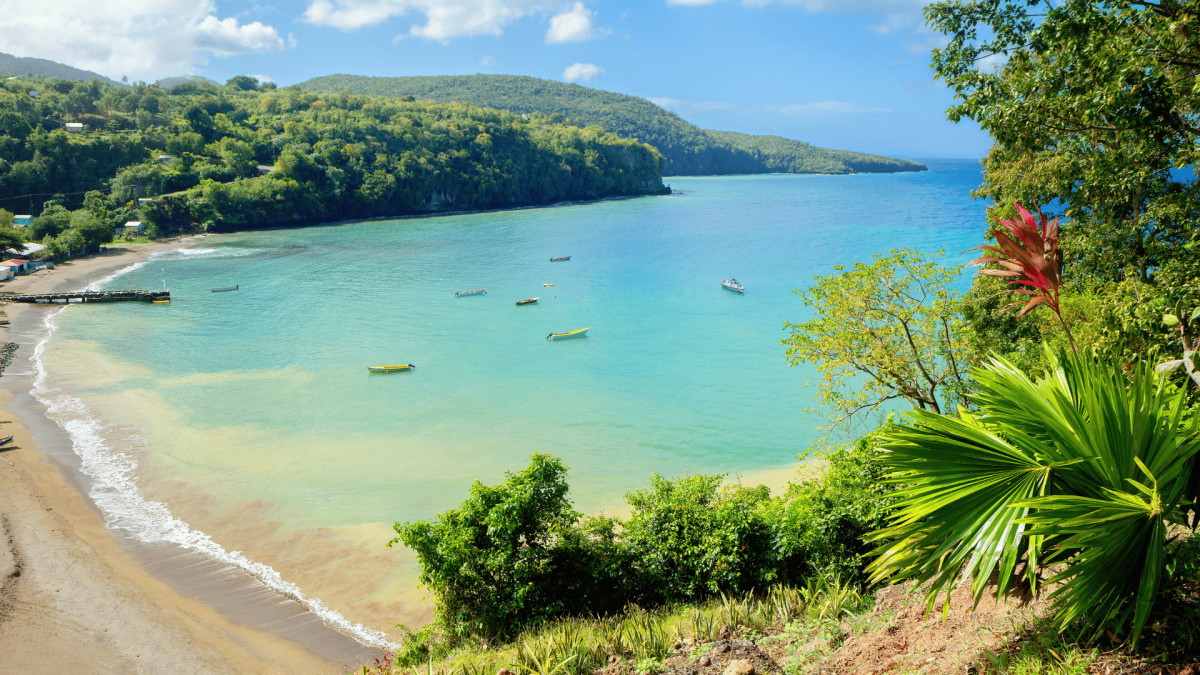 Évasion Caribéenne : Martinique et Sainte-Lucie - TERRESTRE SEUL