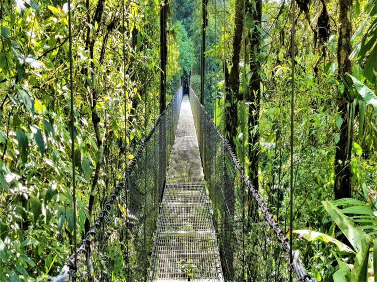 Rendez-vous en Terre Tica 2026 - 9