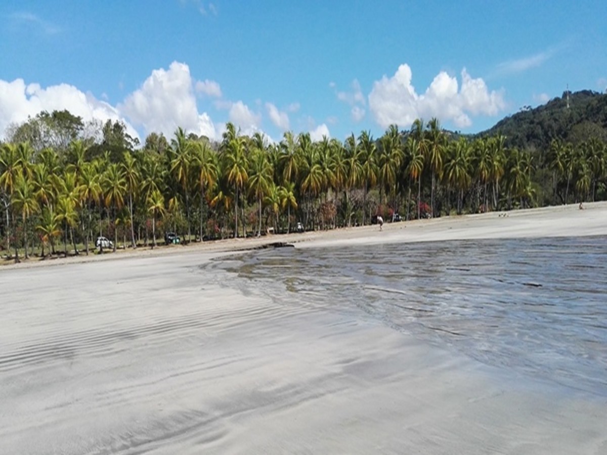 100% Pura Vida: sport et aventure. - 10