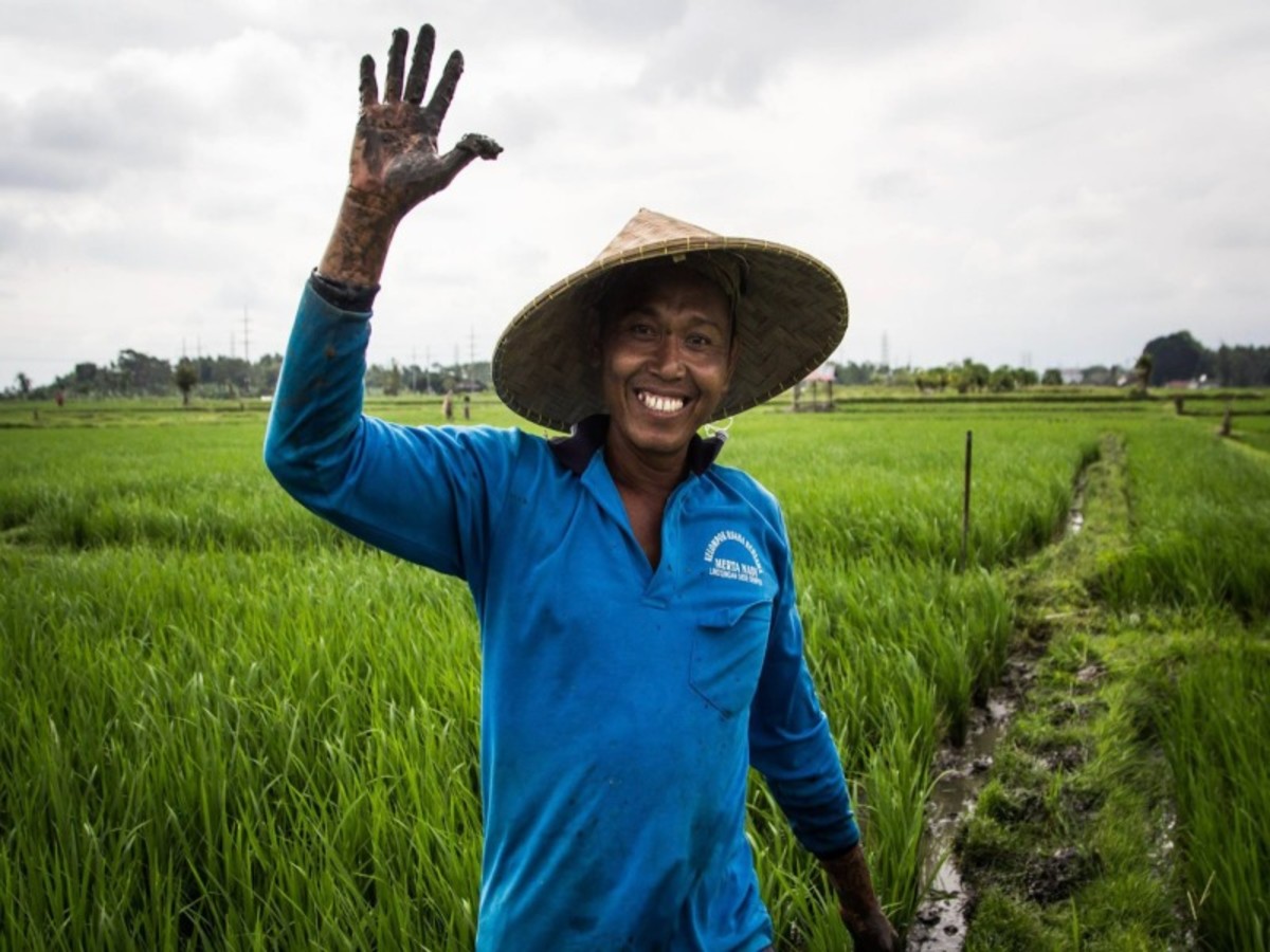 Immersion à Bali - 13