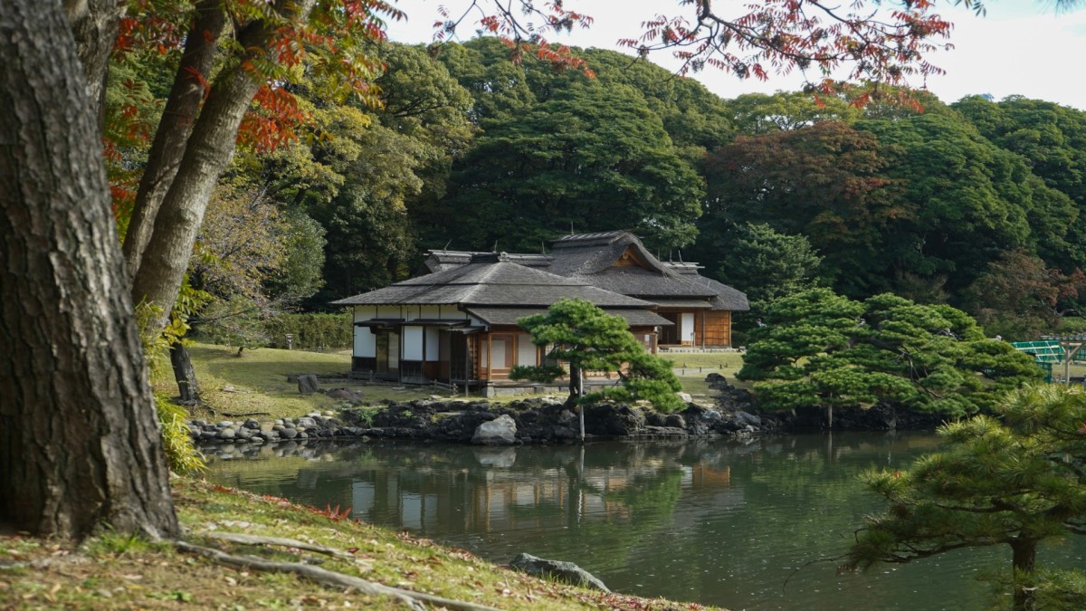 Instant Japonais 17J/14N - TERRESTRE SEUL