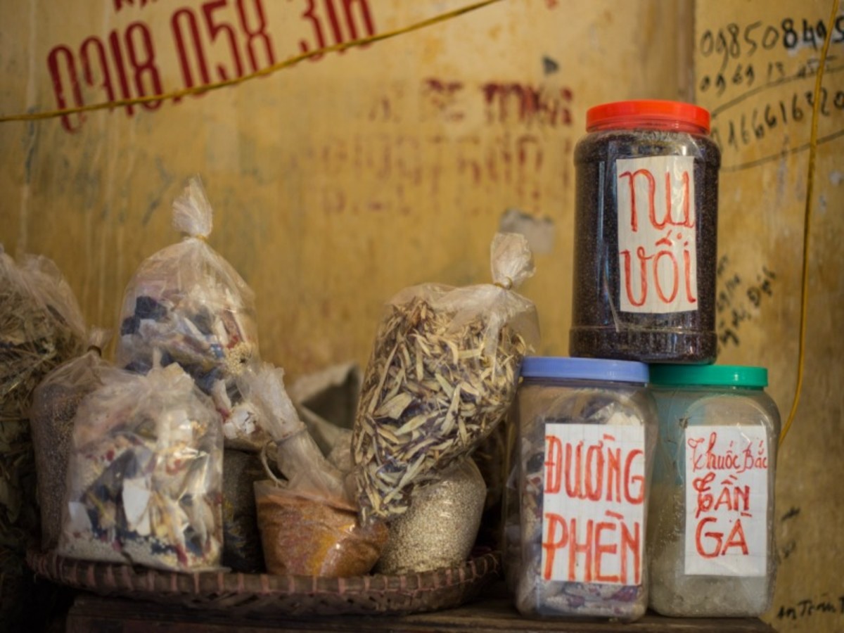 Immersion au Vietnam - 12