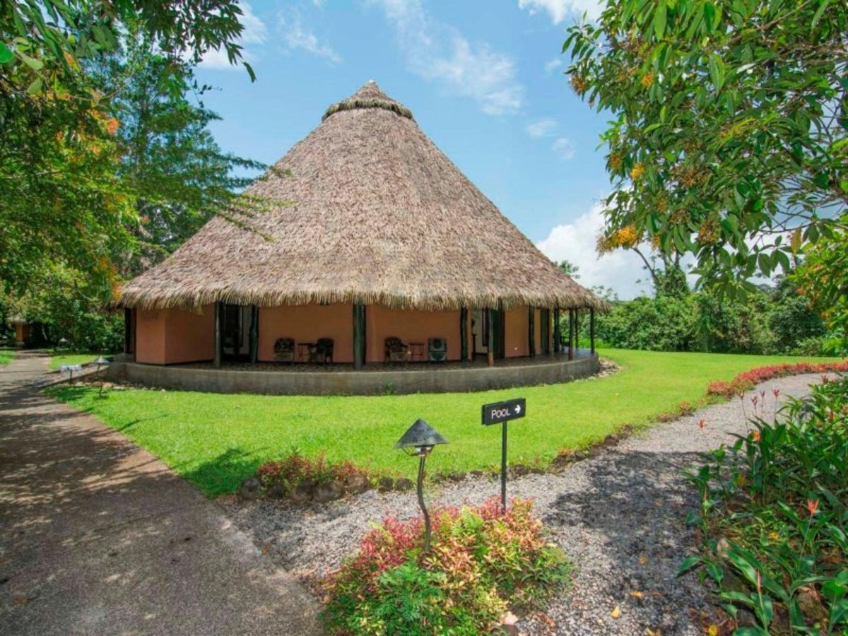 Balade en liberté - Trésors des Caraïbes et joyaux de la forêt tropicale - 9