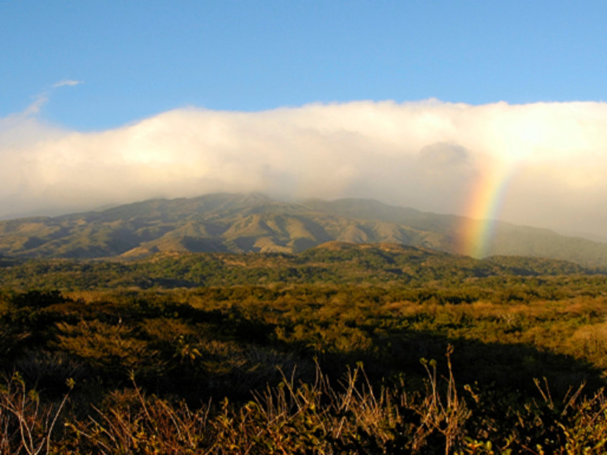 100% Pura Vida: sport et aventure. - 6