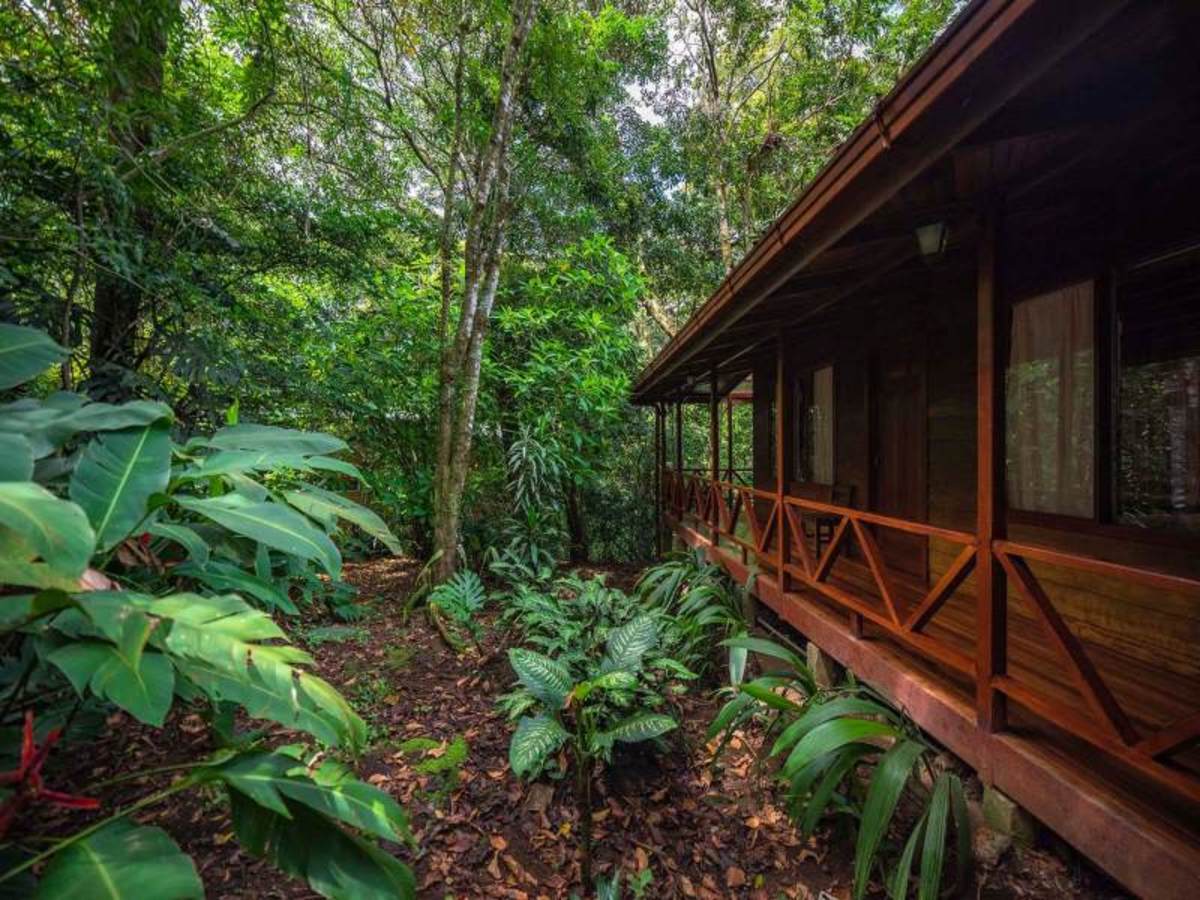 L'Essentiel du Costa Rica + Punta Leona 12 Jours / 11 Nuits - 5