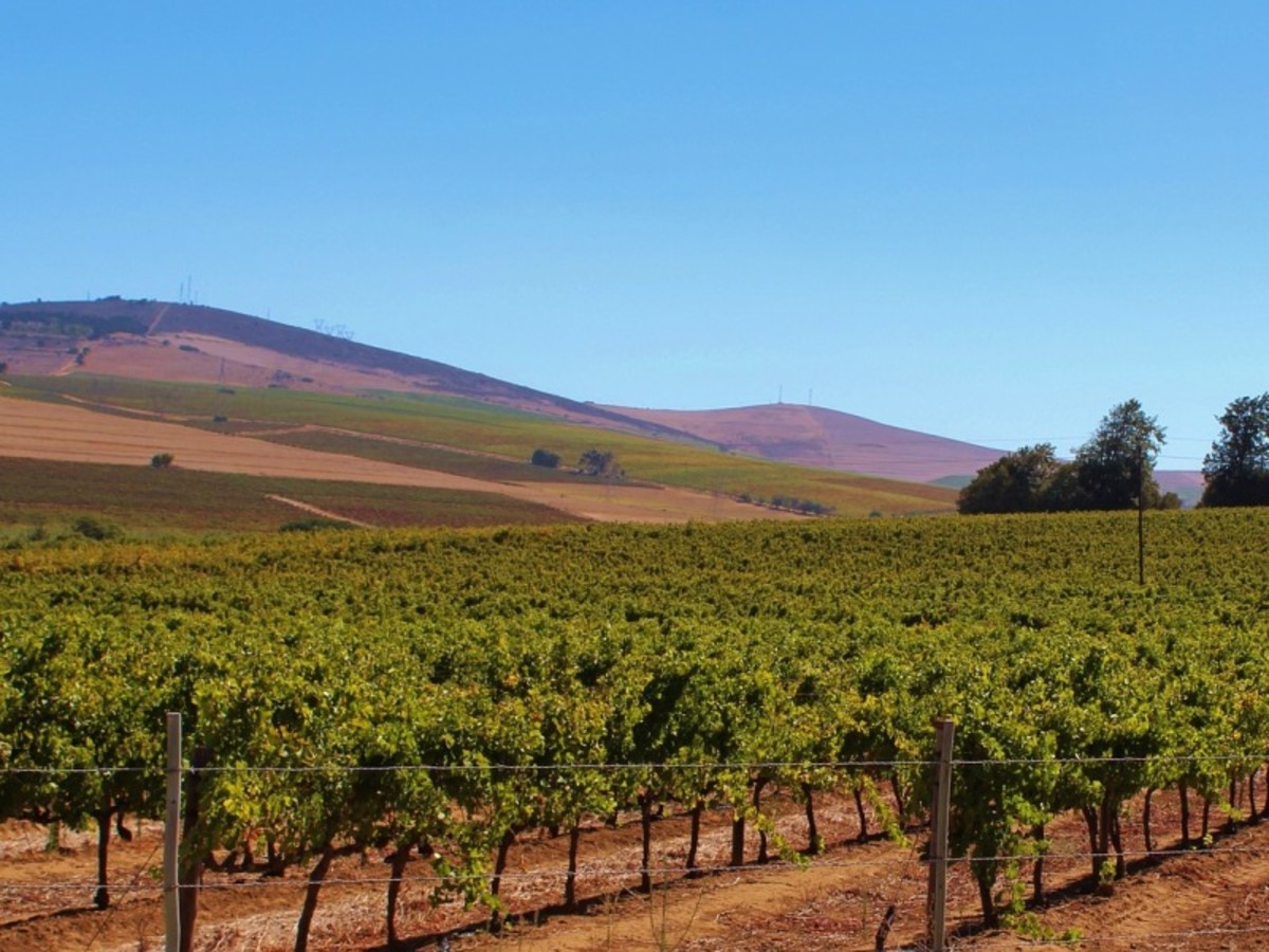 Patchwork Sud Africain Et Victoria Falls 2026 - 3