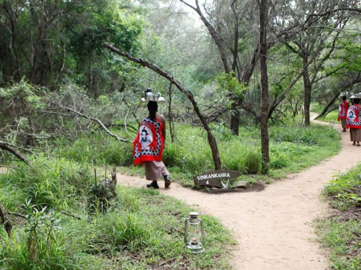 Découverte Afrique Du Sud 2026 - 7