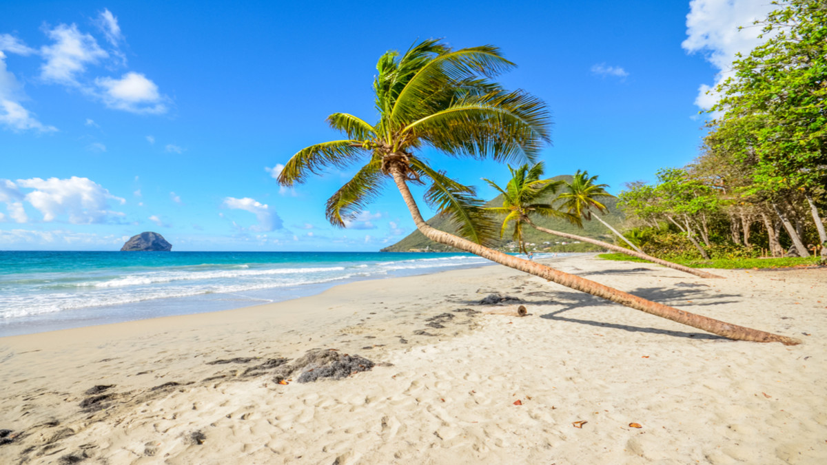 Sur la Route : Martinique, Guadeloupe et Les Saintes - TS