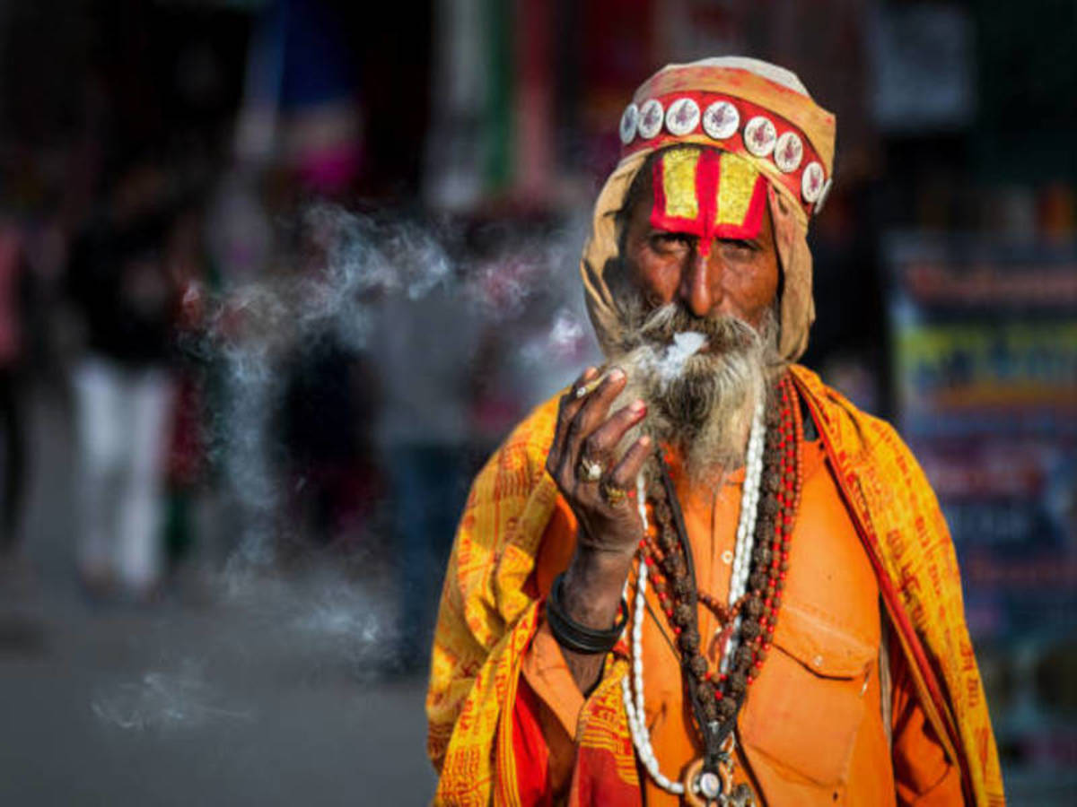 Terre des Maharajahs- - 3