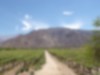 Grande Découverte du chili: Patagonie, Atacama & îIe de Pâques I avec vols domestiques