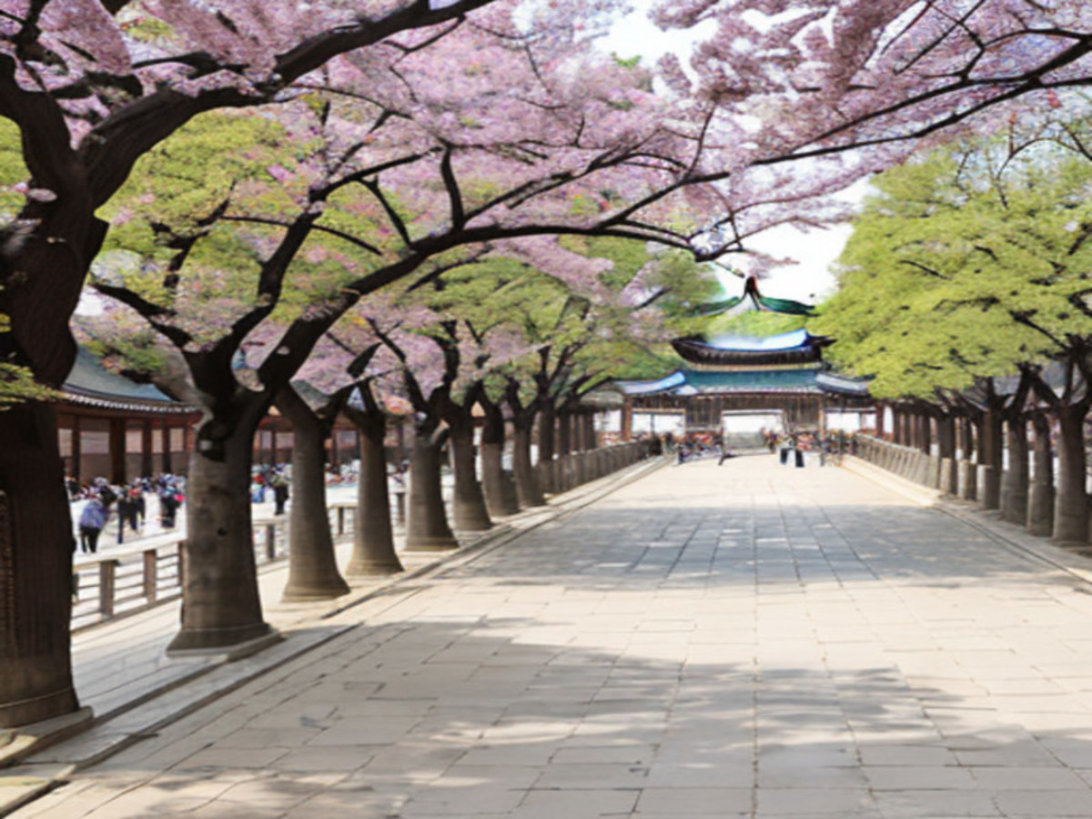 Día 13 — Seoul
