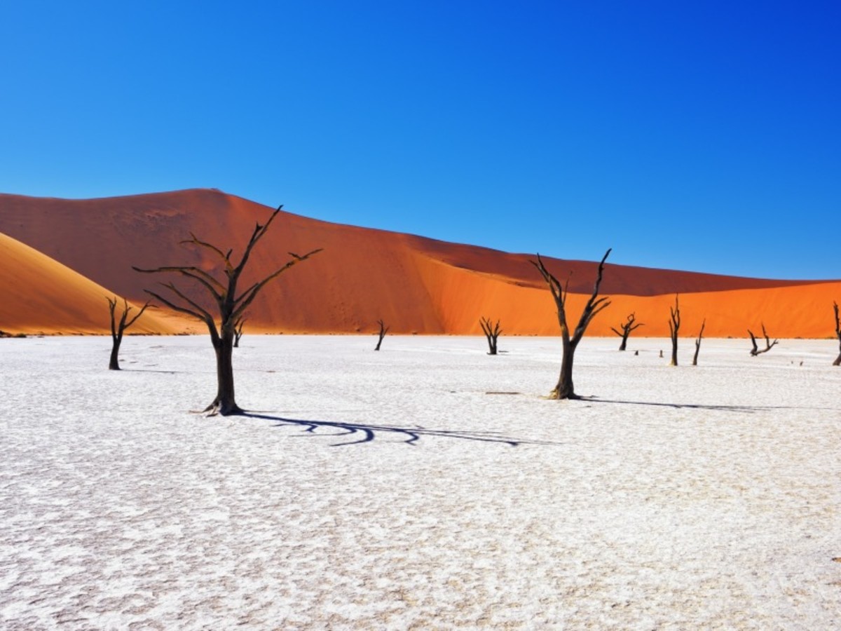 Circuit Parcours Namibien 2026, Circuit Namibie par Ôvoyages
