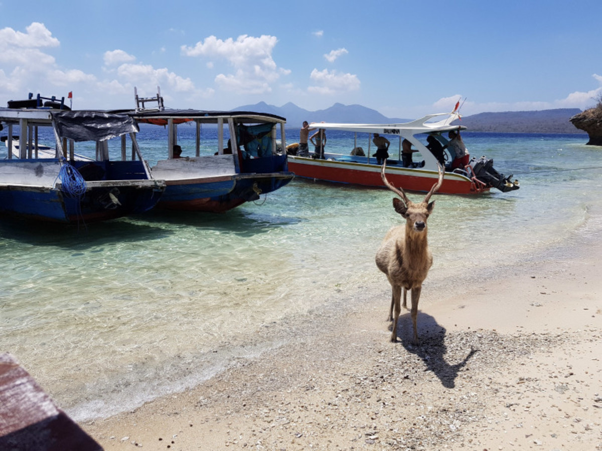 Hôtel Bali à Indonésie, merveilles de bali 15j 12n