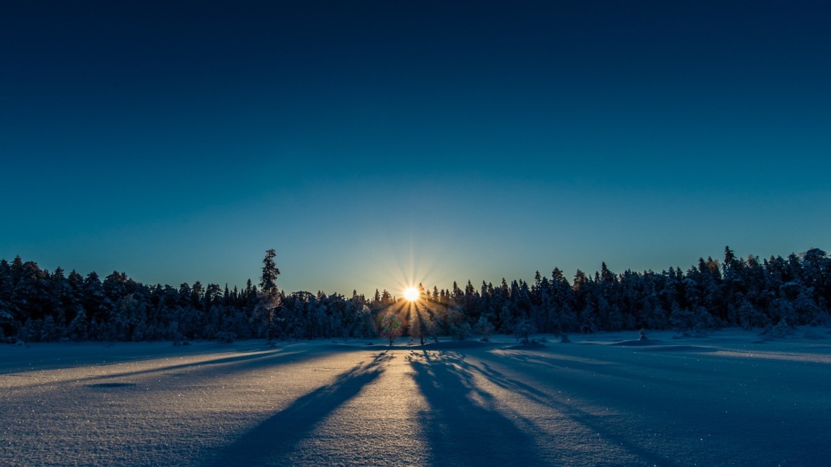Immersion dans le Grand Nord suédois
