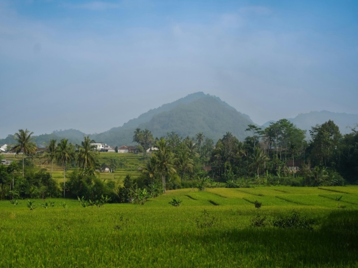 Merveille Indonésienne, Bali, Java et Célèbes 17 jours / 14 nuits - 8