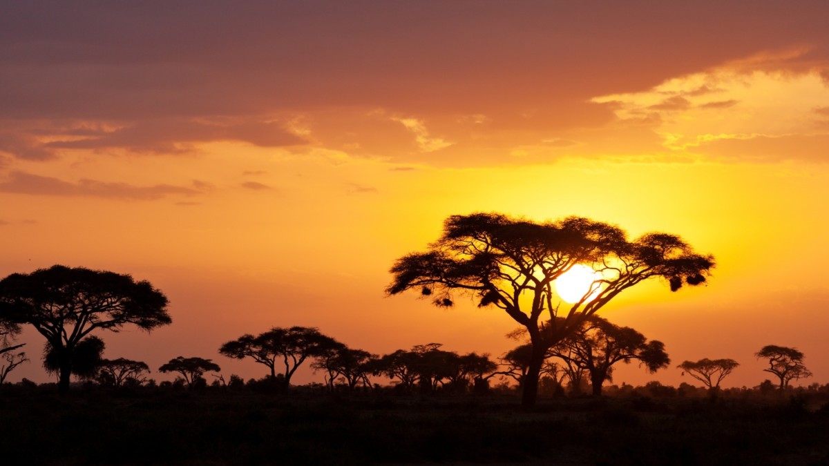 Regard sur les Merveilles de Tanzanie - 10J/7N