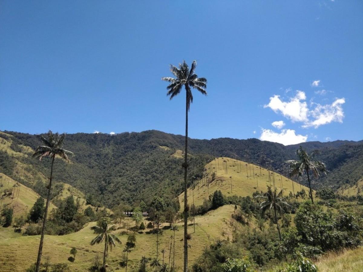 Enivrante, Colombie sur la route du café