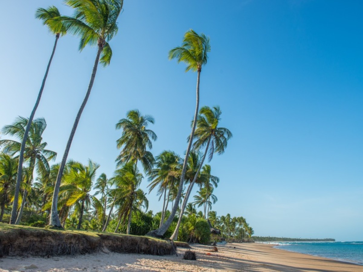 Hôtel Brésil à Salvador de Bahia, impressions du bresil et buzios 17j 15n limite a 18 pers 2027