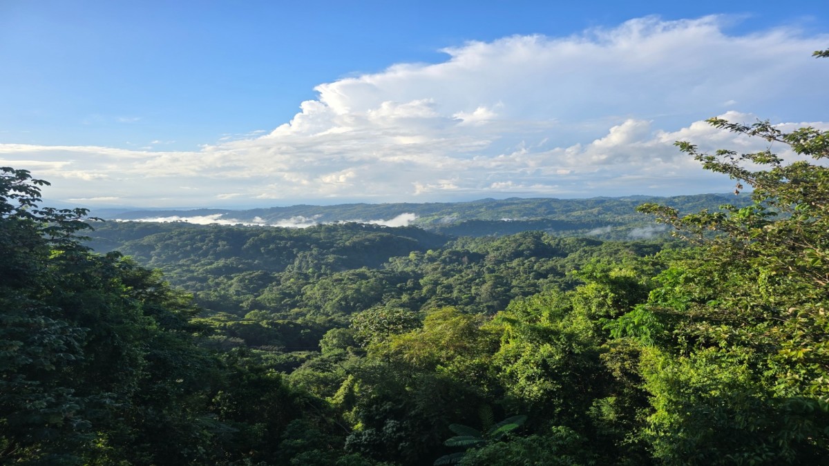 Circuit Jet tours En liberté au coeur des terres secrètes du Costa Rica