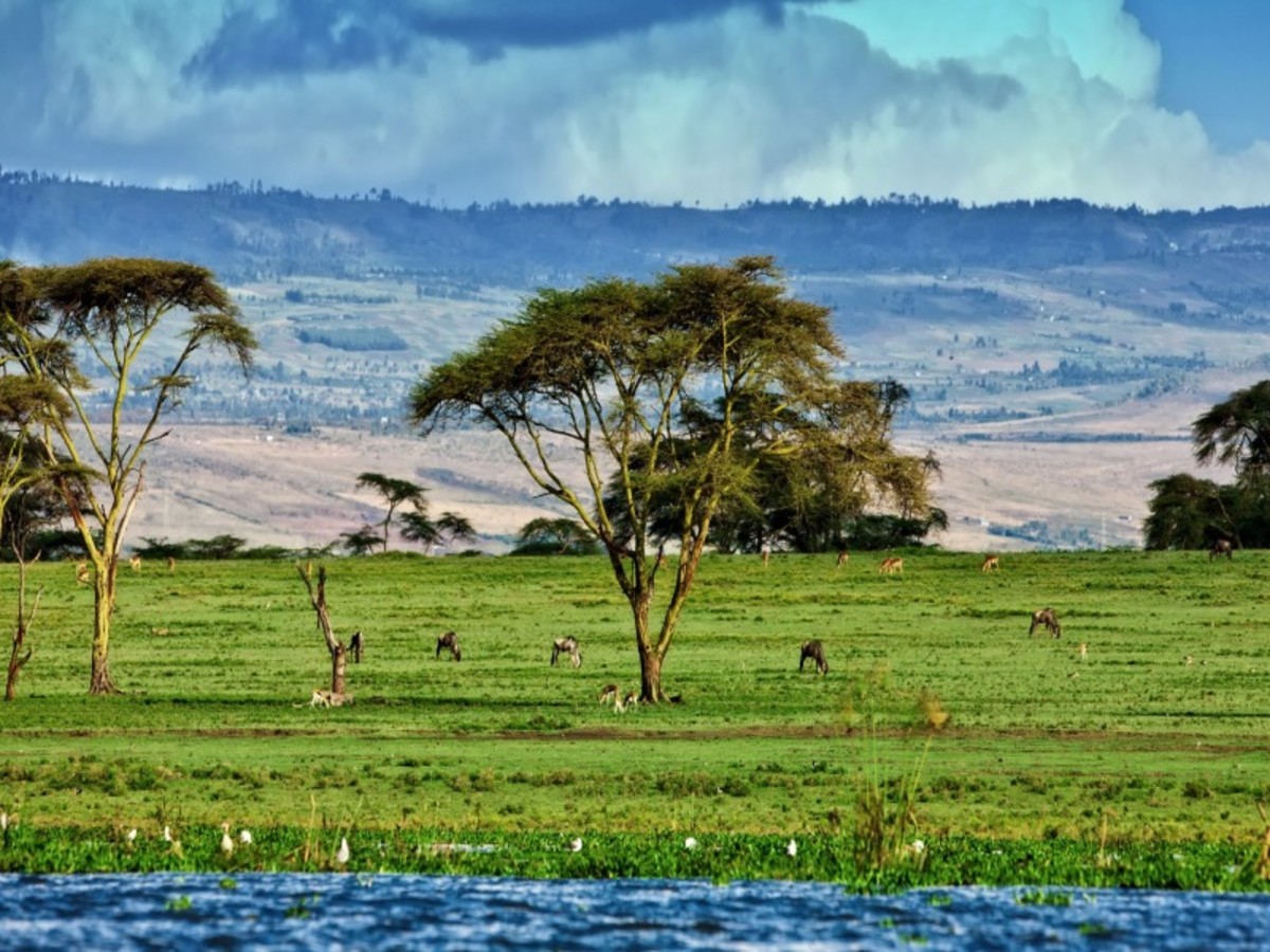 Hôtel Kenya à Tanzanie, regard sur le kenya et la tanzanie 12j 9n