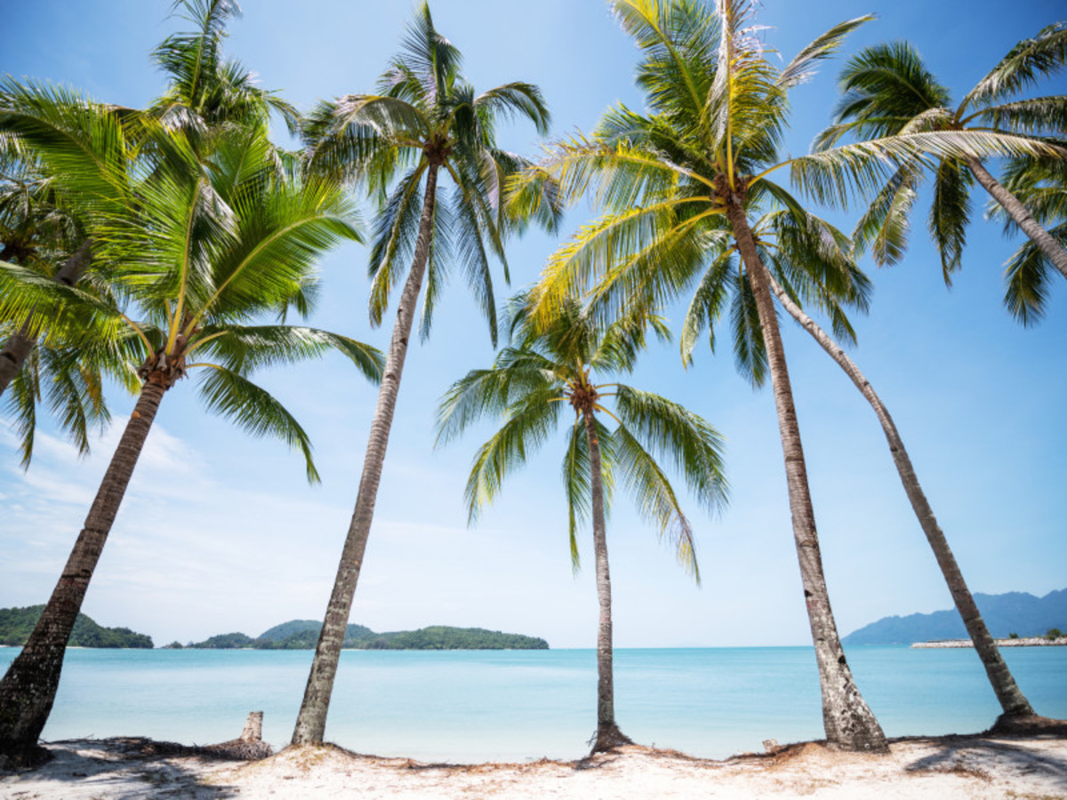 Circuit Essence de la Malaisie extension plages de Langkawi - 11 jours / 10 nuits, Circuit Malaisie par Ôvoyages Circuit Essence de la Malaisie extension plages de Langkawi - 11 jours / 10 nuits, Circuit Malaisie par Ôvoyages