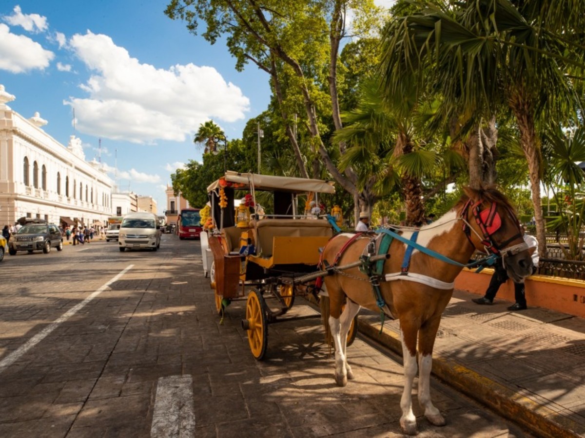 Hôtel Mexique à Cancun, cap sur le yucatan 9j 7n