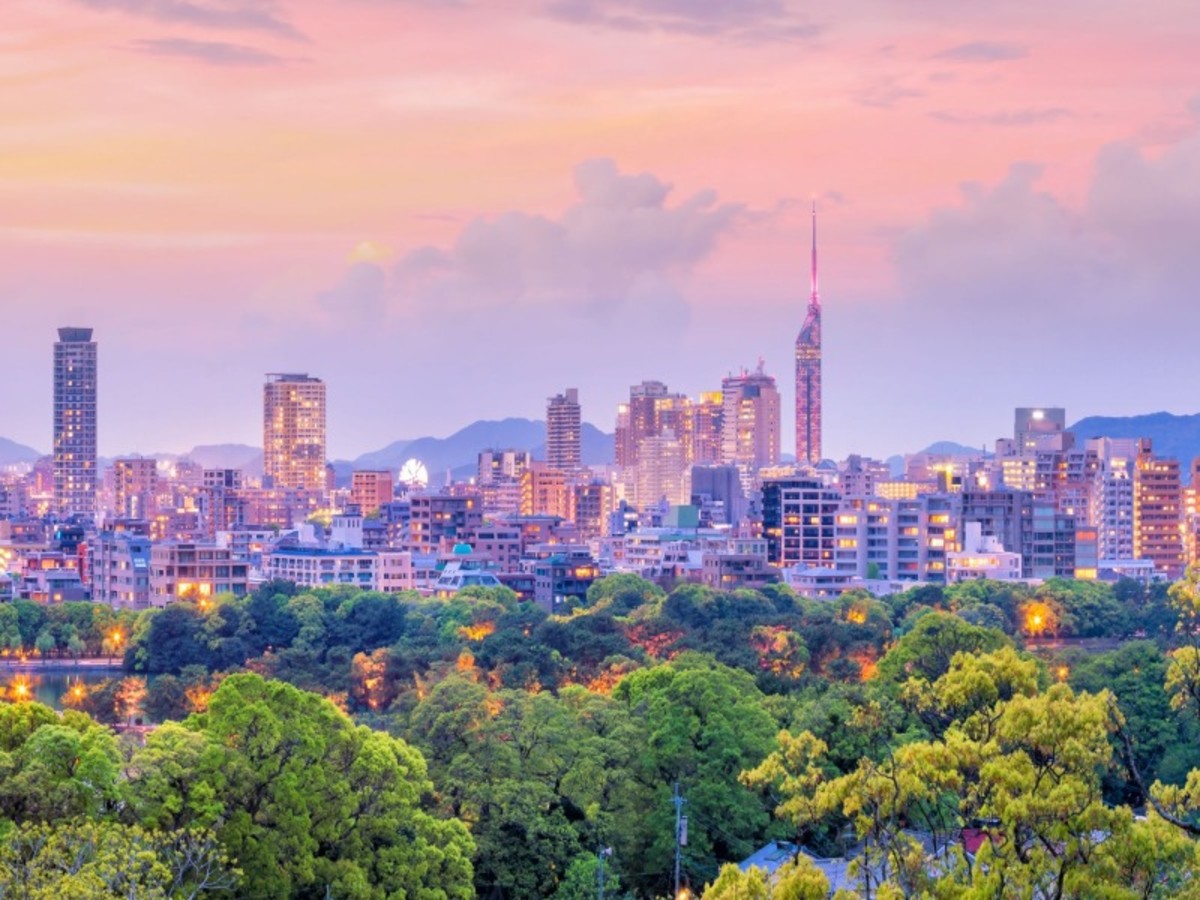 Hôtel Japon à Tokyo, panorama japonais en liberte 21j 18n