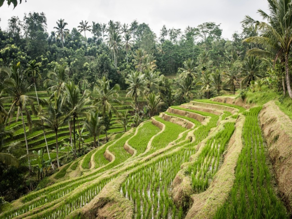 Hôtel Bali à Indonésie, merveilles de bali 15j 12n