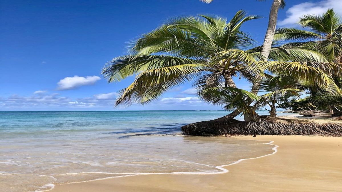 Jet tours Combine Saint Domingue & Las Terrenas