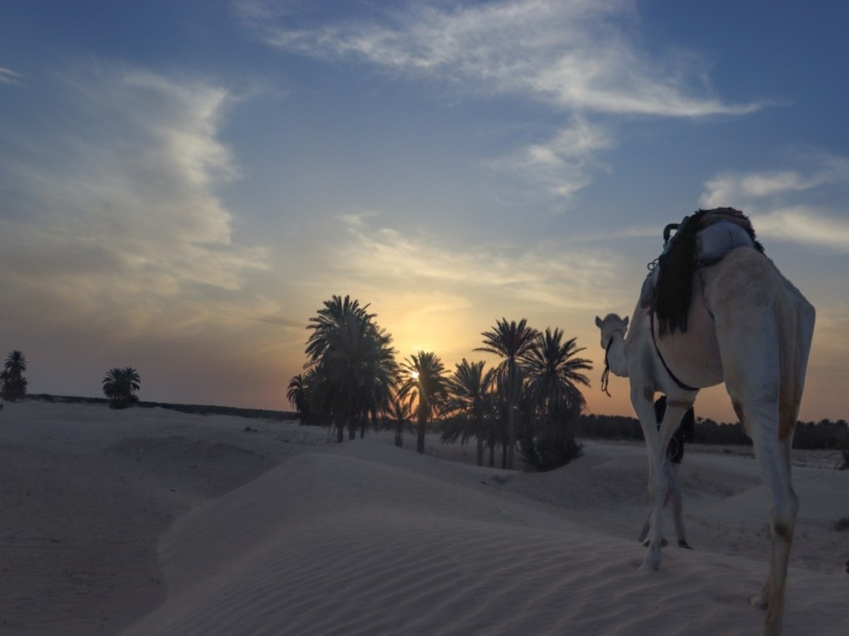 Réveillon au Coeur du Désert Tunisien (au départ de Sousse) - 2