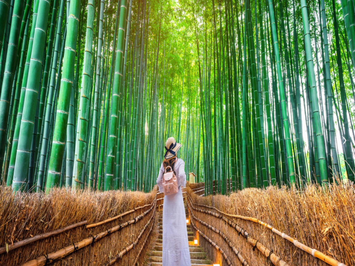 Día 10 — Kyoto