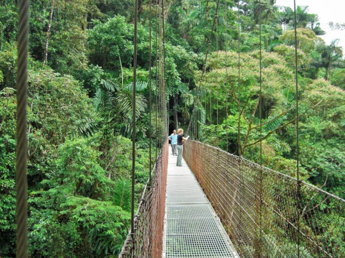 Circuit Entre Nature & Plage au Costa Rica, Circuit Costa Rica par Ôvoyages