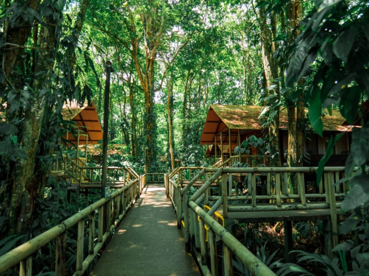 À la découverte du Costa Rica - 2