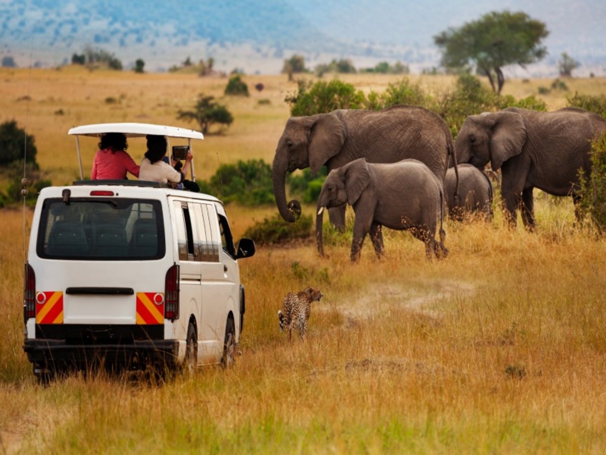 Image 3 du séjour Regard sur le Kenya, le grand safari-  10J/8N à Nairobi, Kenya