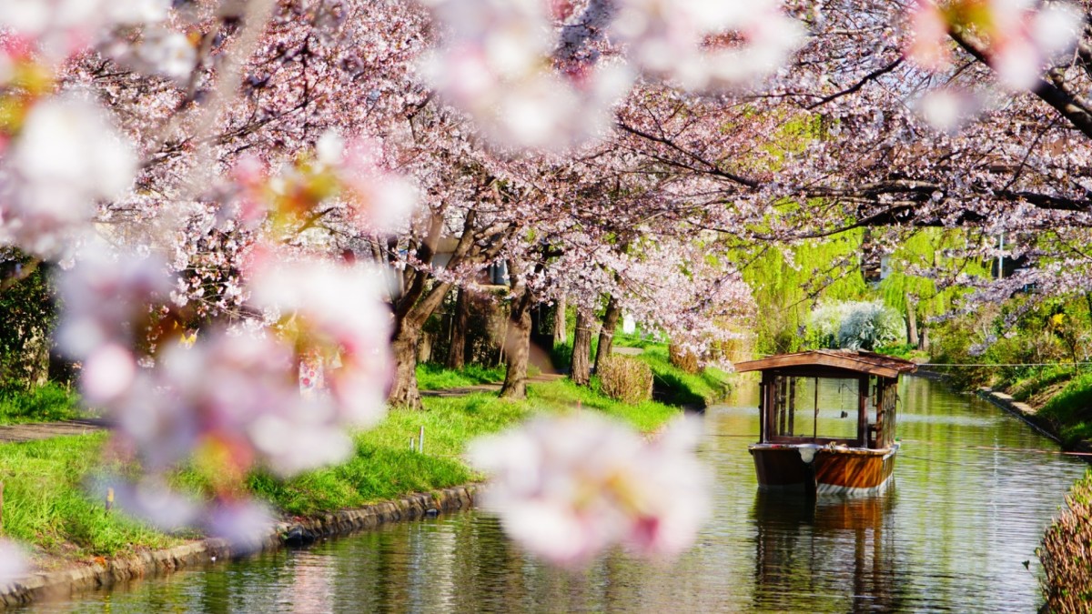 Circuit en liberté Intensément Japon 3*