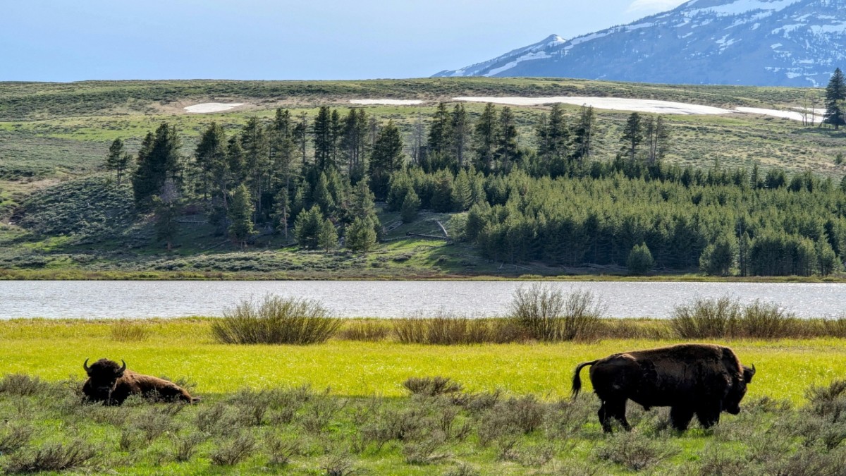 Wild Wide West - Côte Ouest
