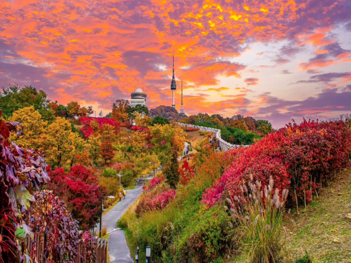 Hôtel Corée du Sud à Seoul, au pays du matin calme