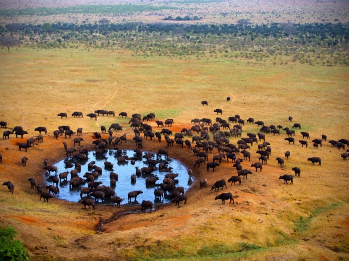 Hôtel Kenya à Nairobi, regard sur le kenya le grand safari 10j 8n