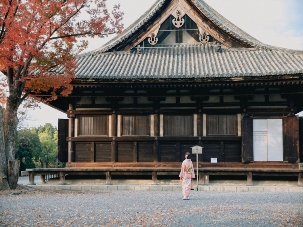Hôtel Japon à Osaka, circuit en liberte les joyaux du japon 12 nuits 3