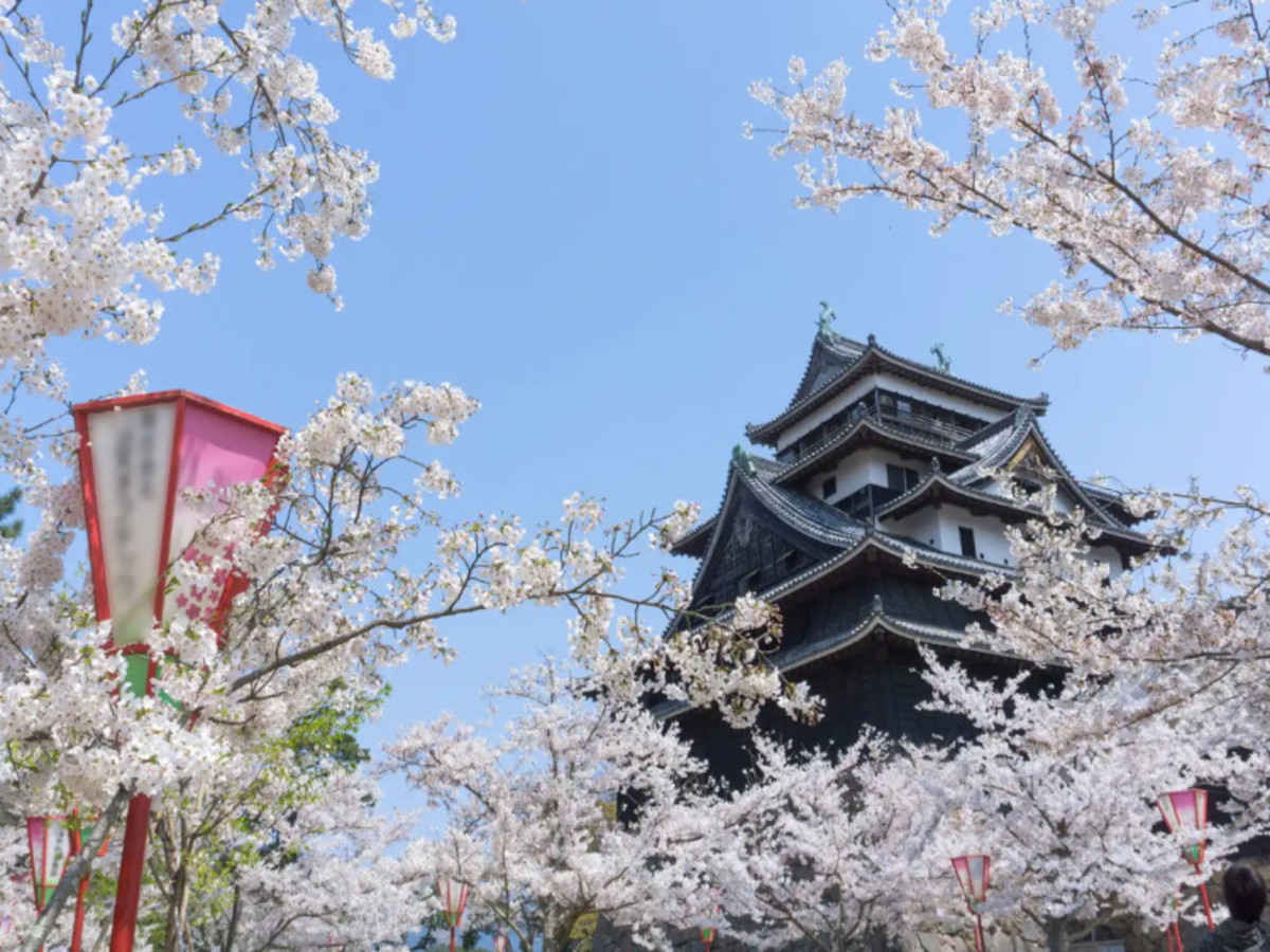 Hôtel Japon à Tokyo, japon sous un autre angle 21j 18n