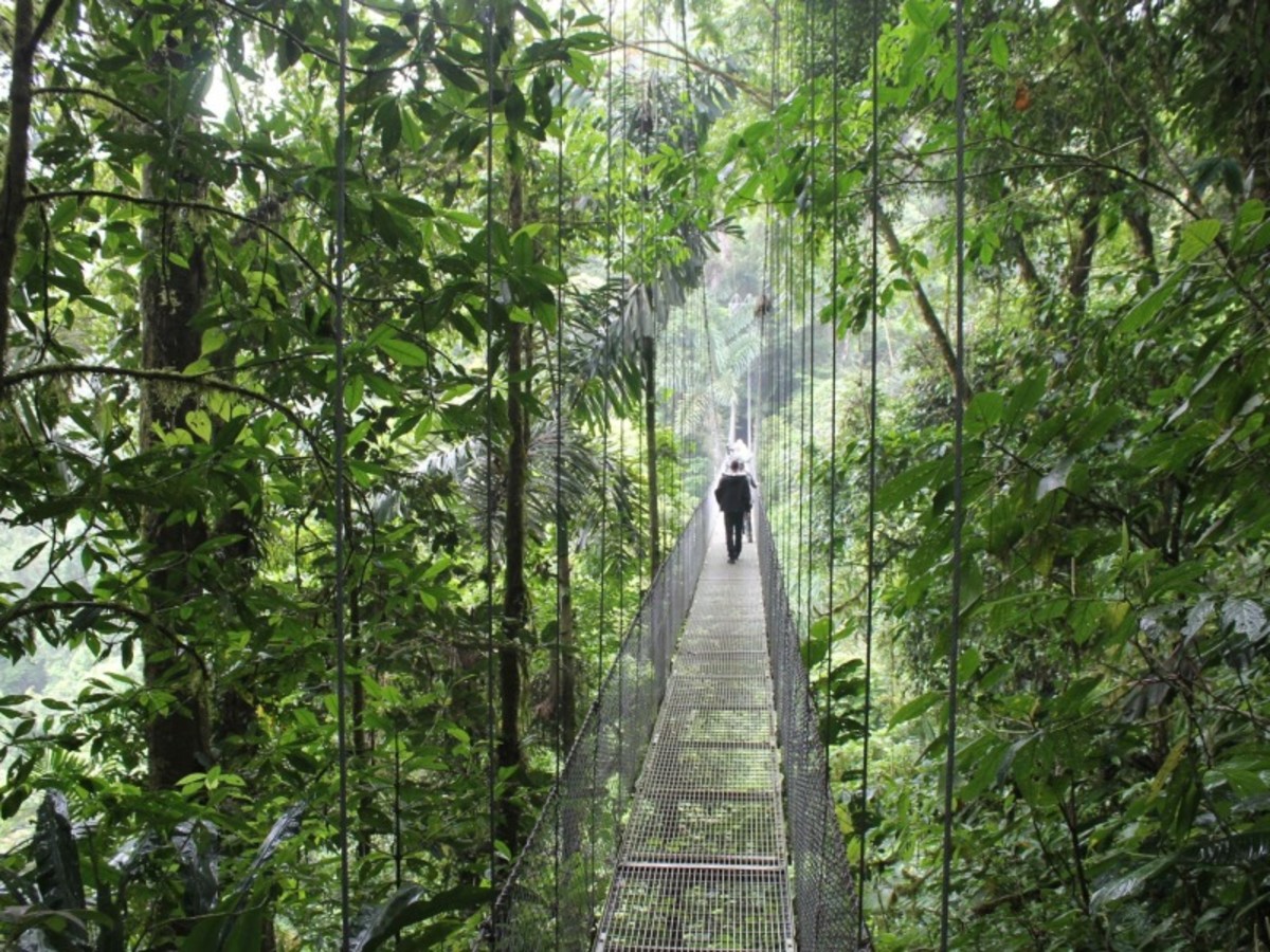 Circuit Evasion au Cœur de la Nature au Costa Rica, Circuit Costa Rica par Ôvoyages