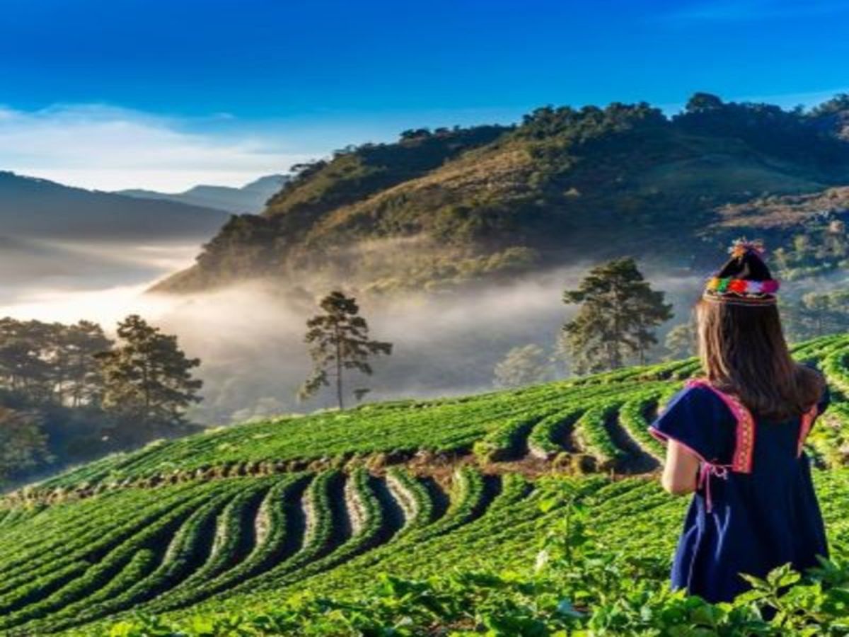 Bangkok et région du nord de la Thaïlande - 4