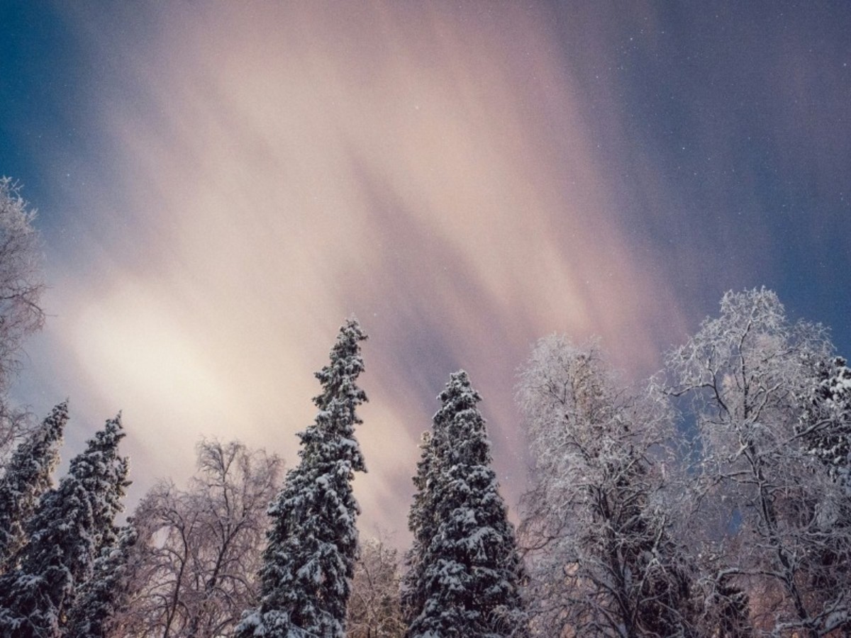 Finlande - Découverte de la Laponie à Lévi