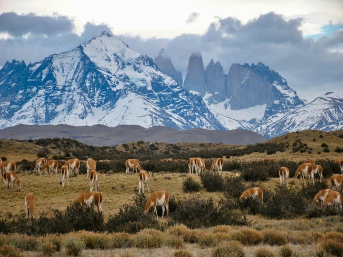 Image 1 du séjour Merveilles du Chili : Patagonie et Ile de Pâques - 15J/13N - Limité à 16 pers.- 2027 à Santiago du chili, Chili