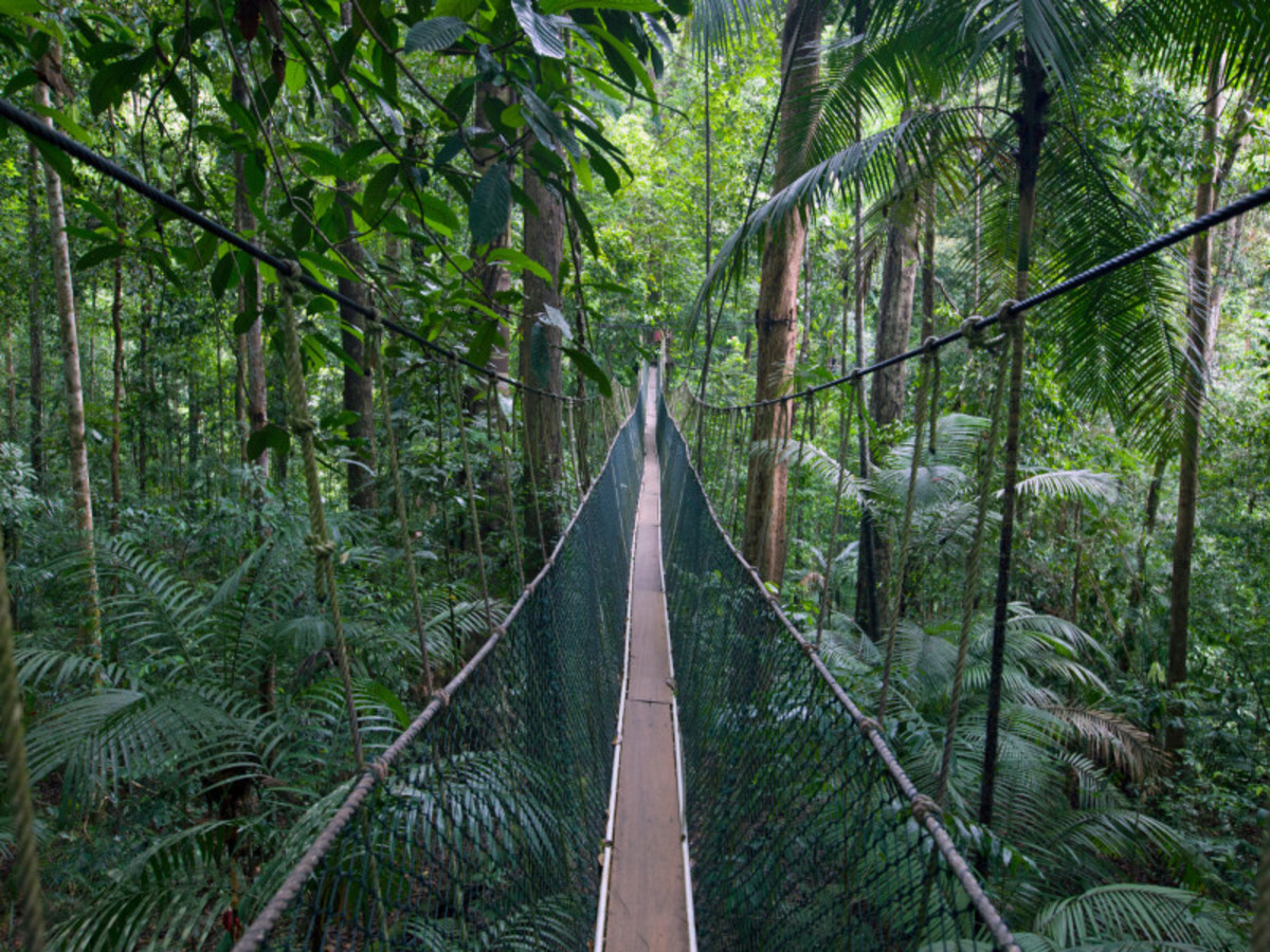 Malaisie à la folie (10 jours / 7 nuits) - 3