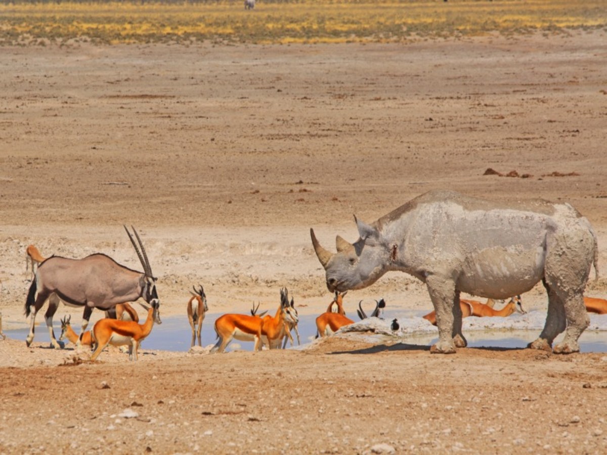 Hôtel Namibie à , regard sur la namibie 12j 9n