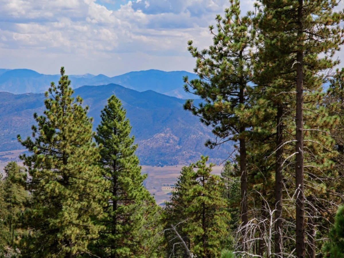 Circuit Ouest Express, Circuit Etats-Unis, Côte Ouest par Ôvoyages Circuit Ouest Express, Circuit Etats-Unis, Côte Ouest par Ôvoyages