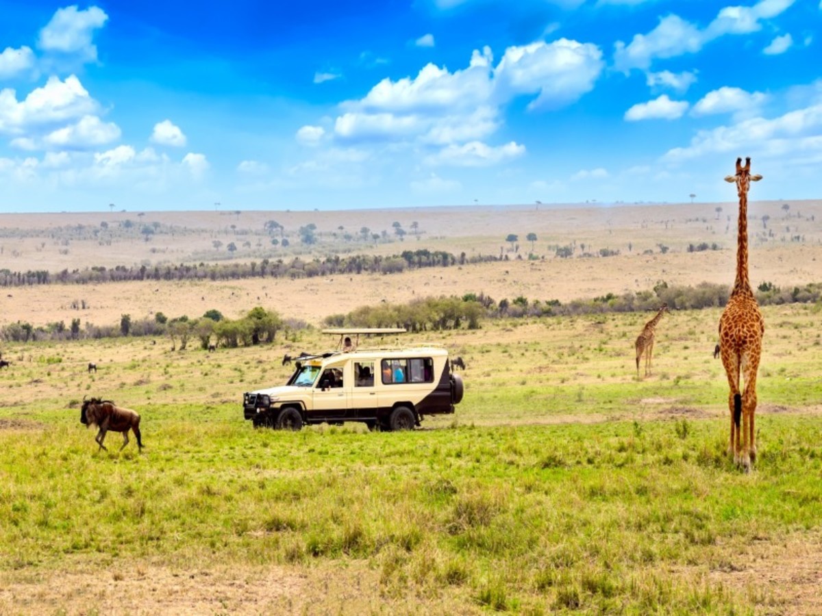 Image 1 du séjour Regard sur le Kenya, le grand safari-  10J/8N à Nairobi, Kenya