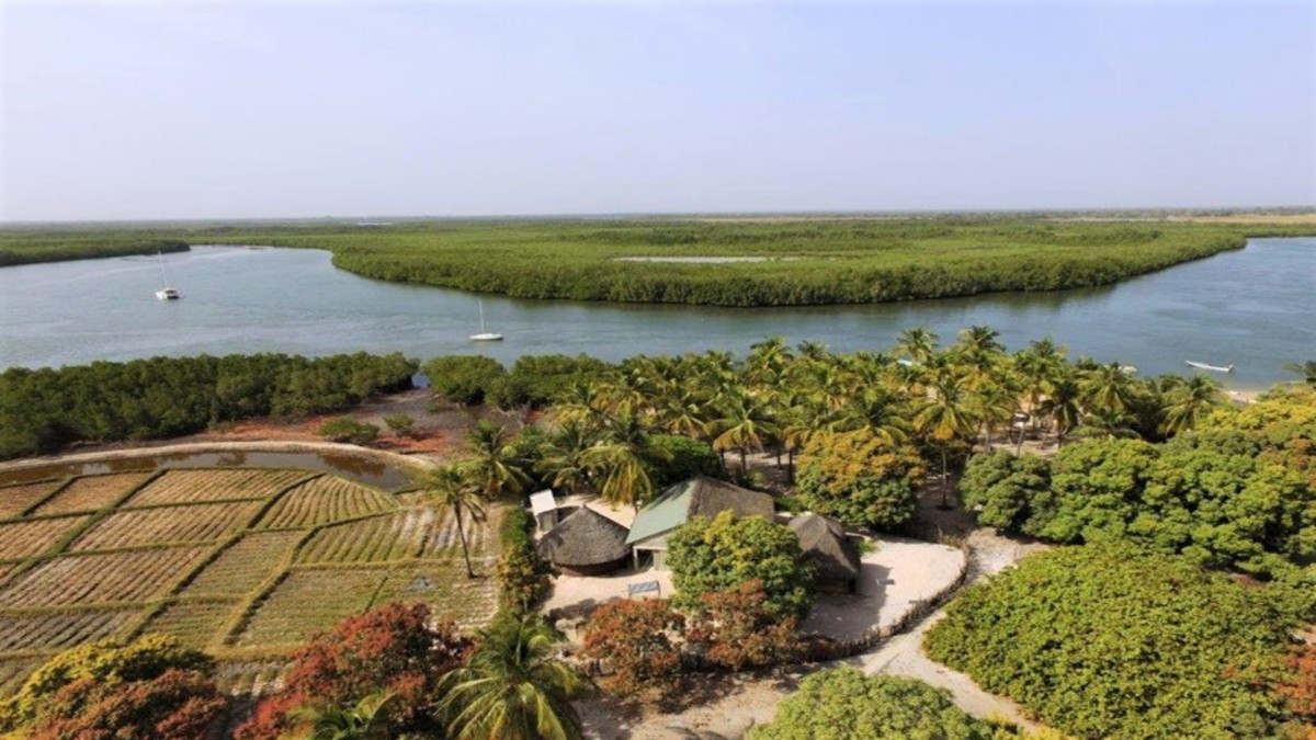 Casamance, Des Iles Et Des Hommes - 